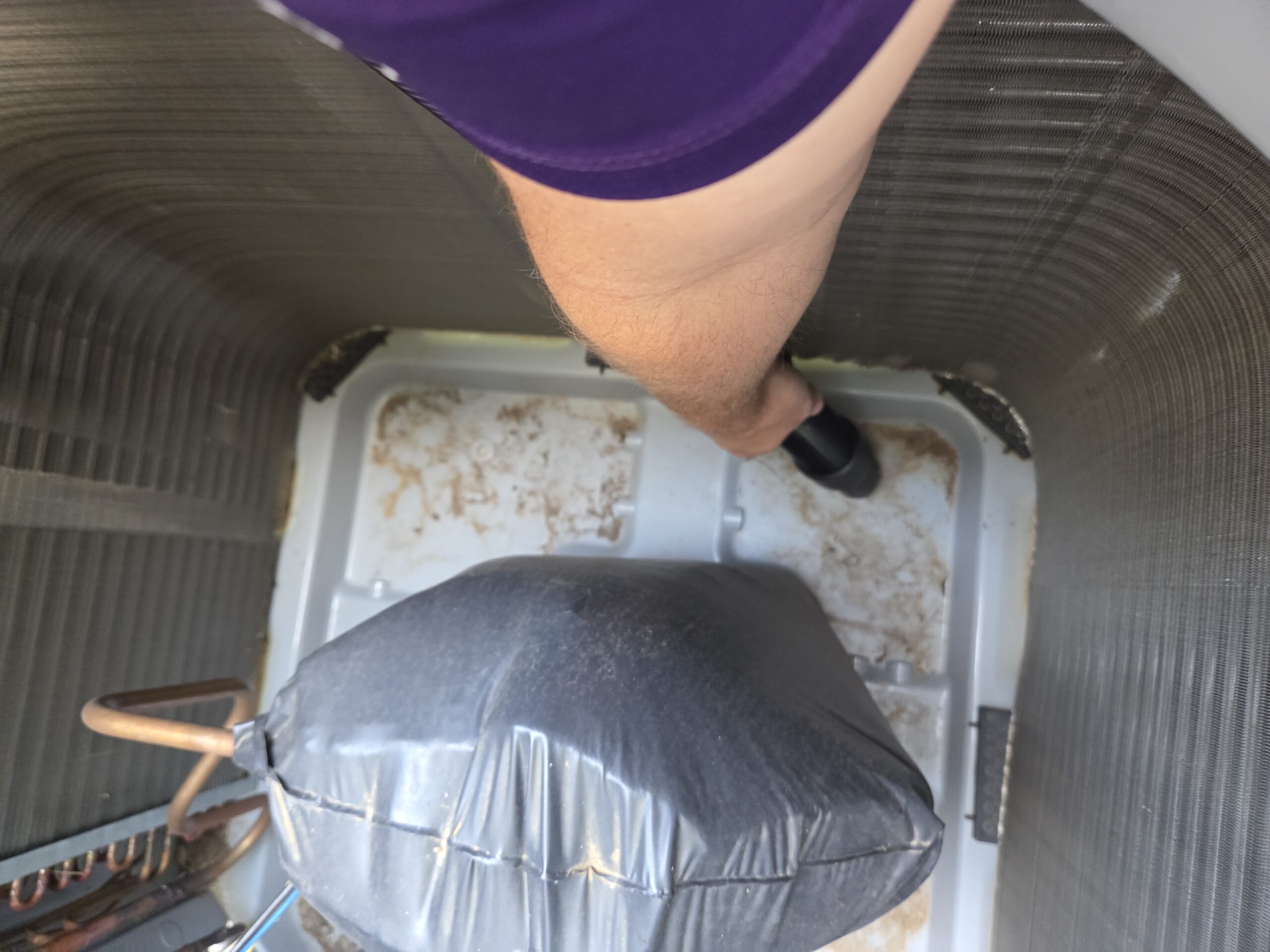 Vivid Maintenance Inspection